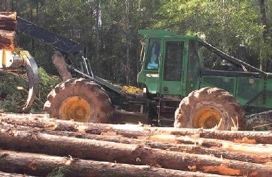 Skidder moving logs out of forest