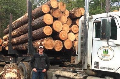 Logs going to the mills Logs going to the mills